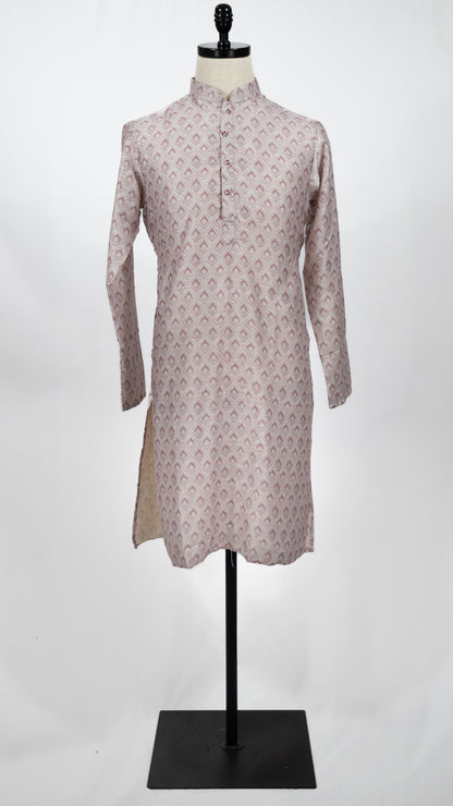 Light Gray Printed Kurta Set