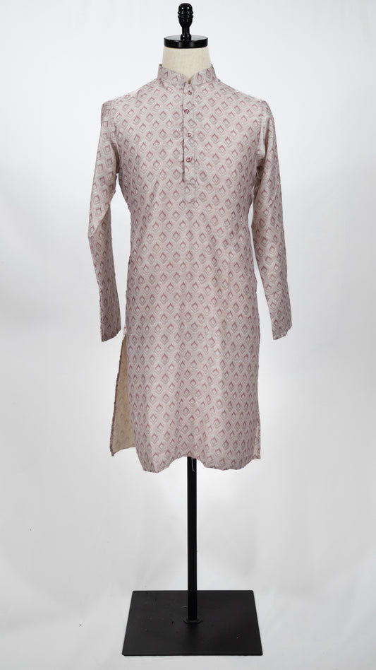 Light Gray Printed Kurta Set